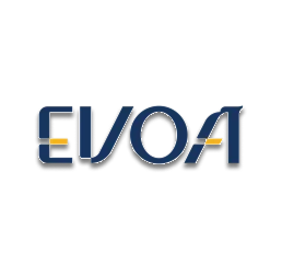 Electronic Visa On Arrival